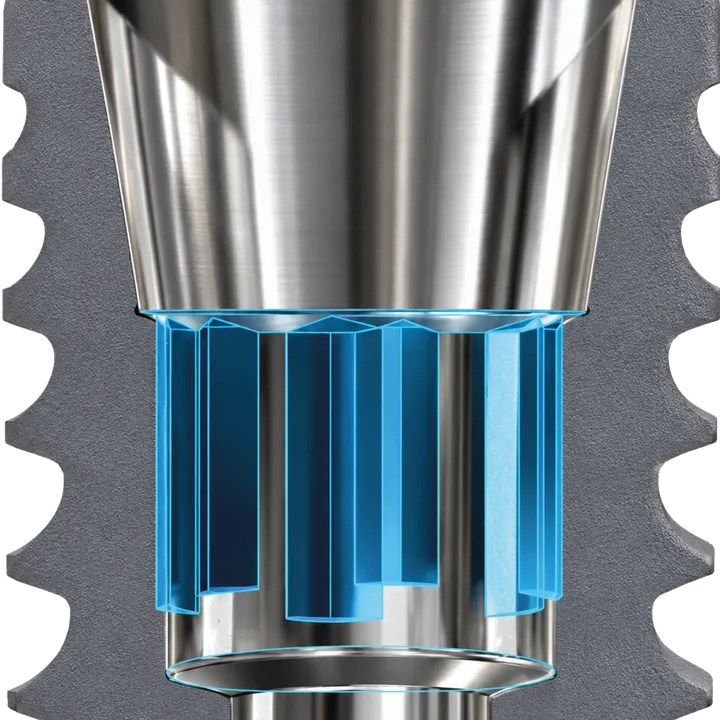 Indexation interne de l'implant One Morse